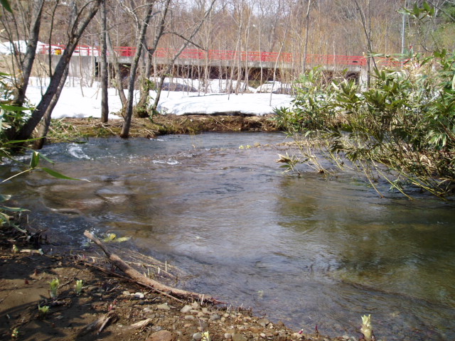 d0018763_8442150.jpg