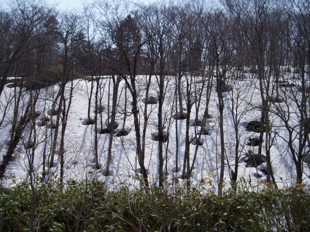 d0018763_8444075.jpg