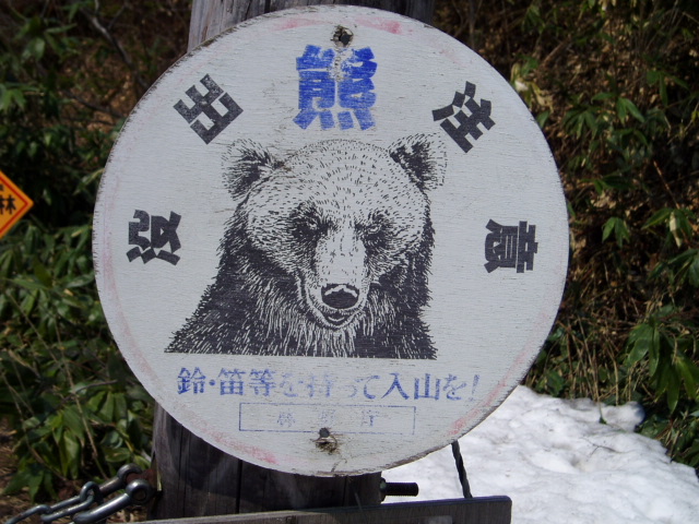 d0018763_8454087.jpg