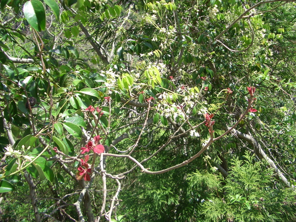 d0105063_13474441.jpg