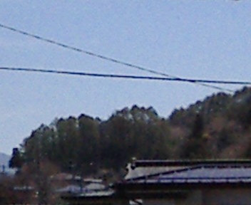 b0017164_14512193.jpg