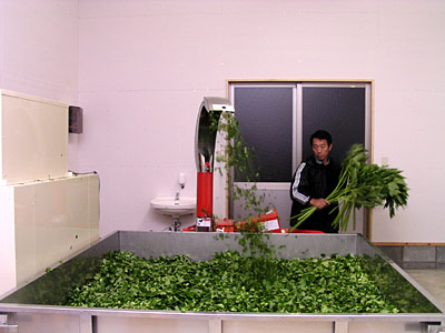 e0097770_12502097.jpg