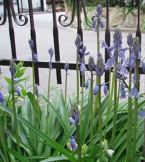 e0060374_11211738.jpg