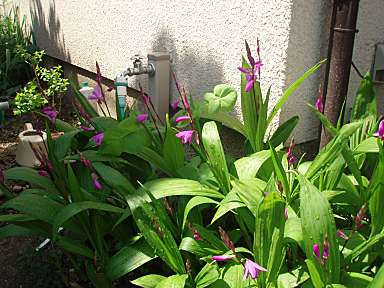 e0060374_11222395.jpg
