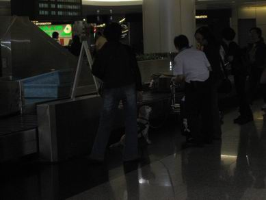 d0018475_22295972.jpg