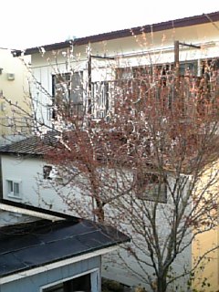 f0131775_14514670.jpg