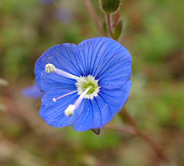 a0079880_1091997.jpg