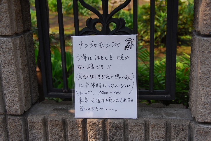 d0056382_1474027.jpg