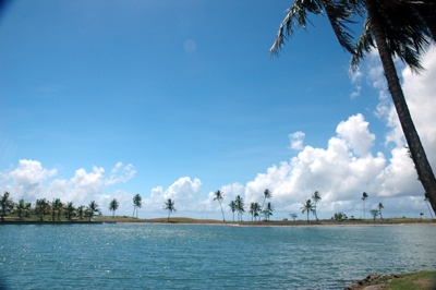 b0061588_15214642.jpg