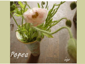 d0107889_1945273.gif