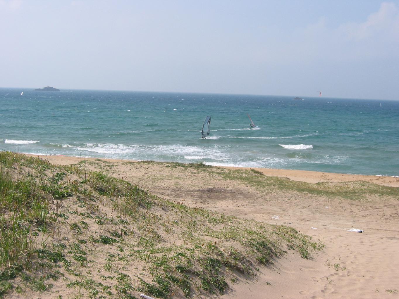 f0131491_12293847.jpg
