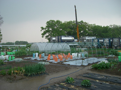 f0070493_114599.jpg