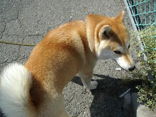 f0081594_1614169.jpg