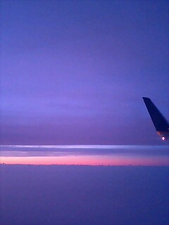 d0028195_1029349.jpg
