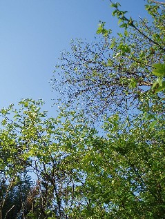 c0076496_21212861.jpg