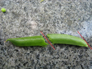 b0097200_16273830.jpg