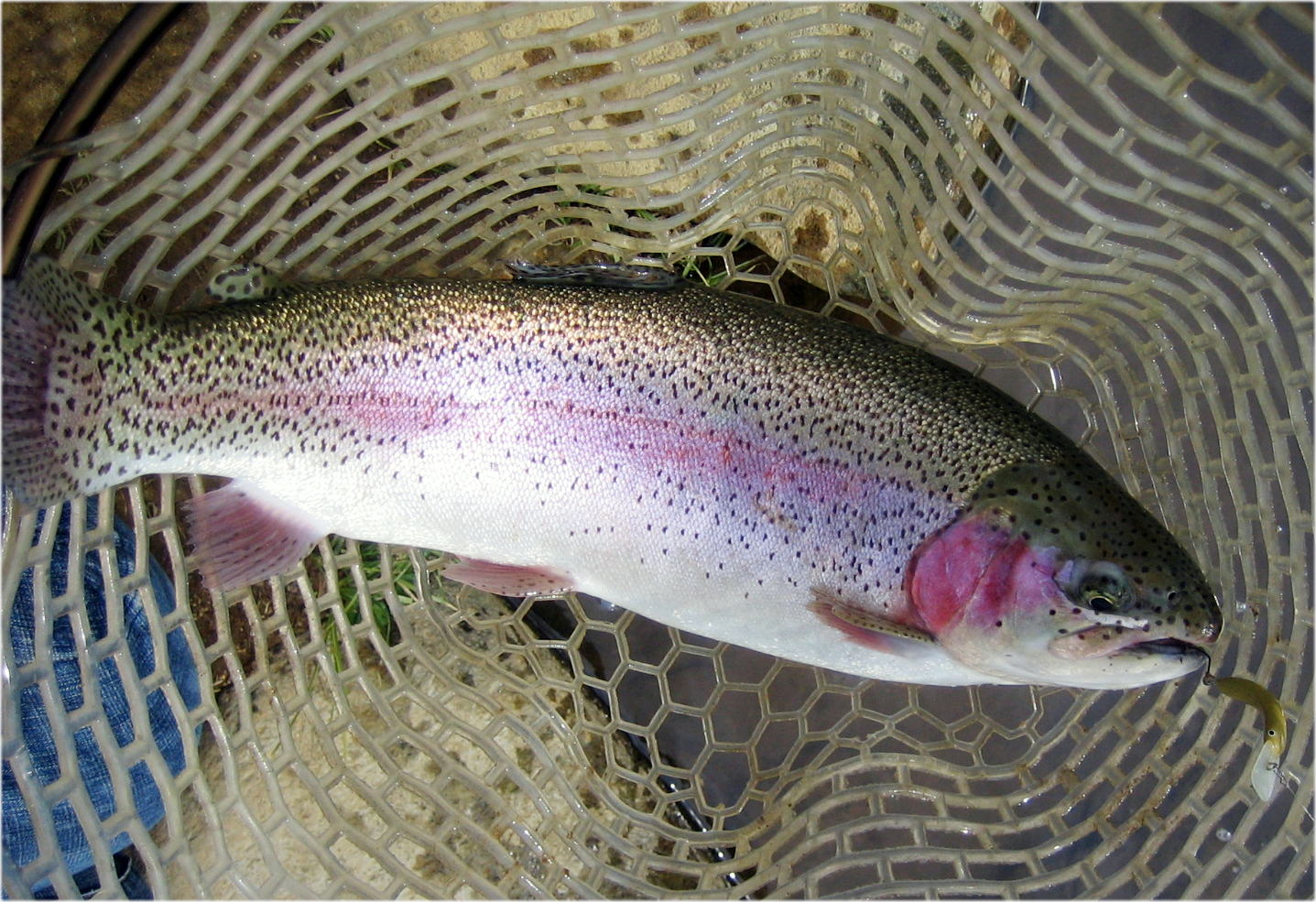 d0026200_21375467.jpg
