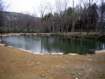 d0026200_21424227.jpg
