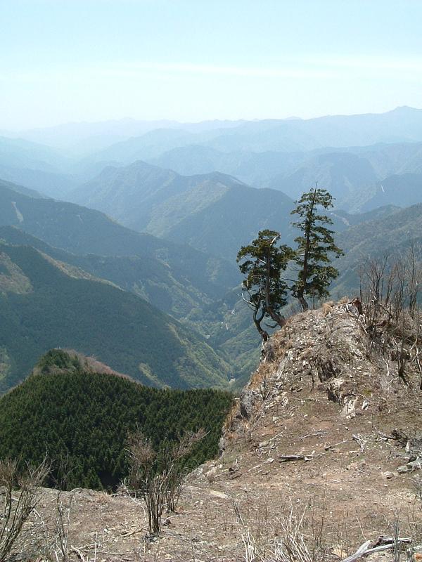 d0078203_17524944.jpg