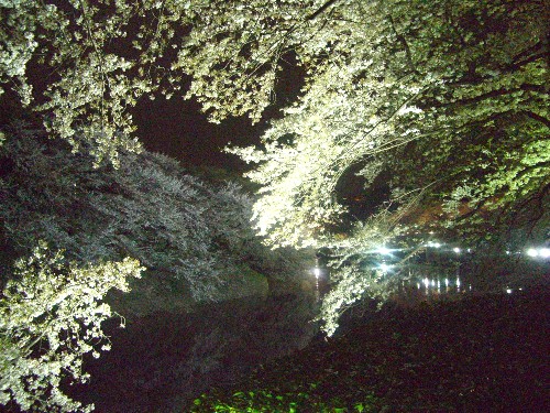 c0110906_22303611.jpg