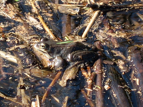 d0051707_20315890.jpg