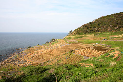 b0064008_2241799.jpg