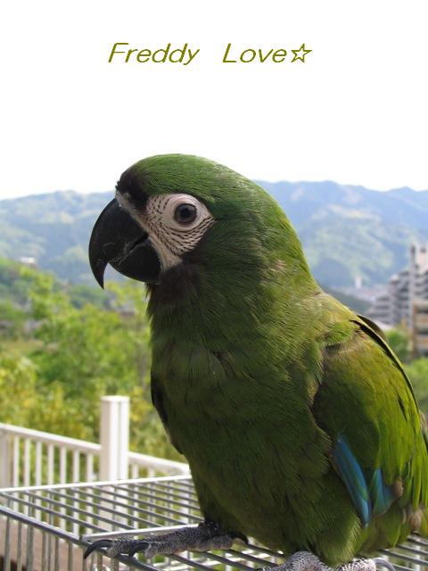 d0081210_2172741.jpg