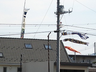 e0033013_2310315.jpg