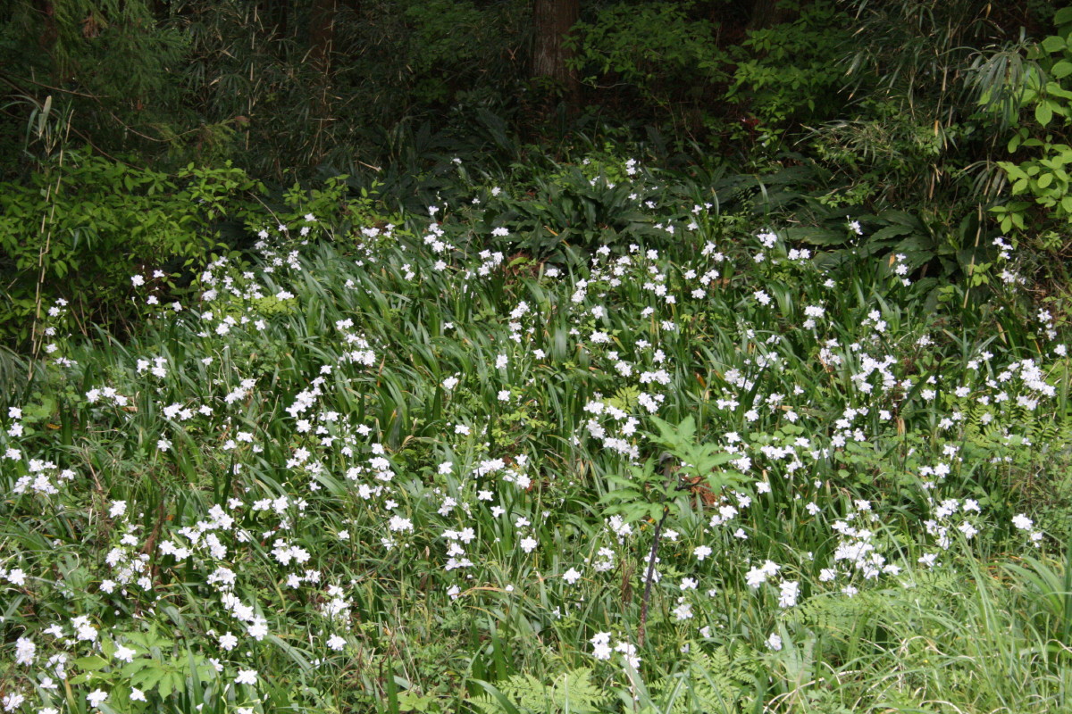 b0054622_22515290.jpg