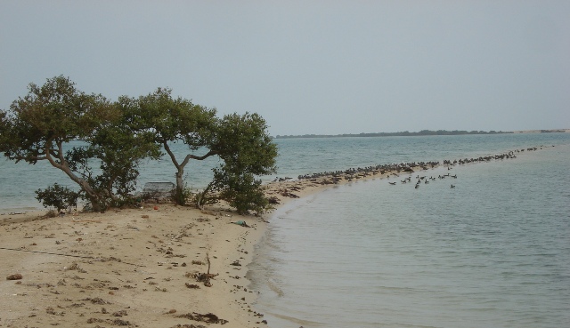 a0090924_324177.jpg