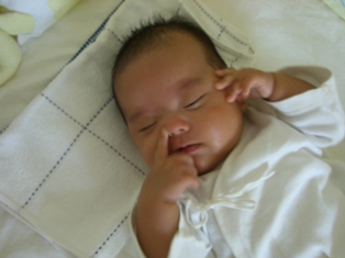 c0012532_182746100.jpg