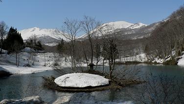 f0118332_2151557.jpg