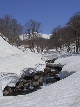 f0118332_22113768.jpg
