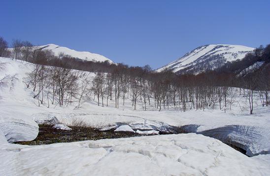 f0118332_2292996.jpg