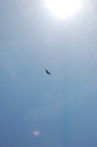 c0111535_2341619.jpg