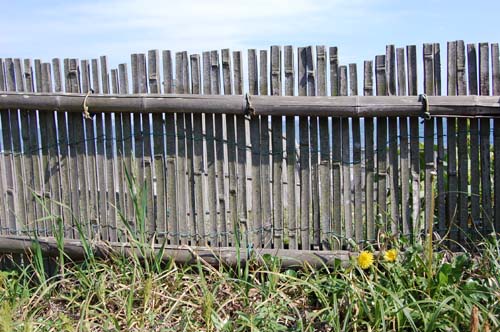 c0111535_2353124.jpg