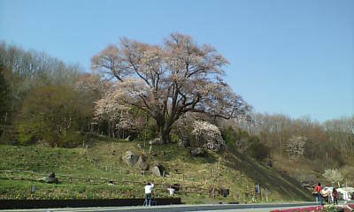 d0106440_22122710.jpg