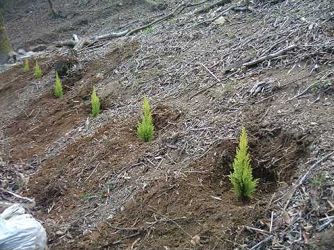 f0090444_0232777.jpg