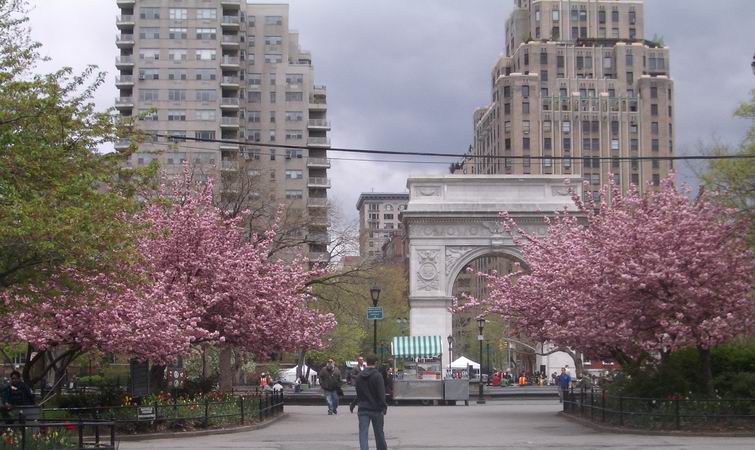 b0040245_19203551.jpg