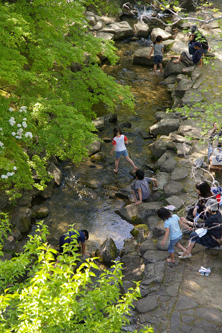 f0094045_19335085.jpg