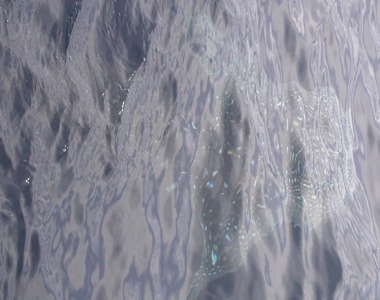 e0027447_0391214.jpg