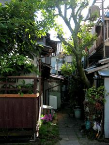 f0041351_19572940.gif