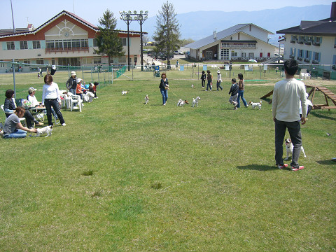 f0108553_1943327.jpg
