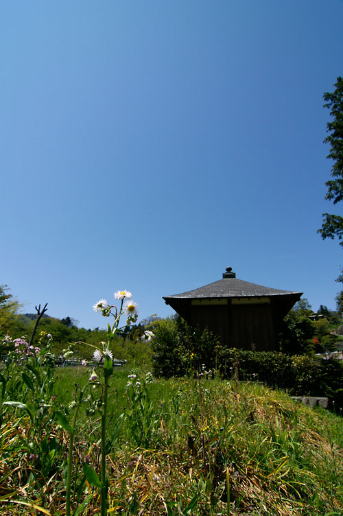d0100156_22124782.jpg