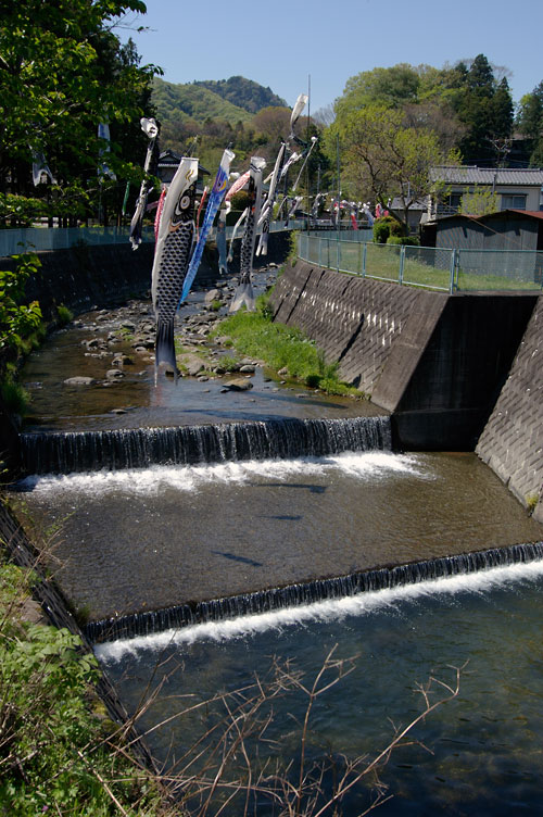 d0100156_2216224.jpg
