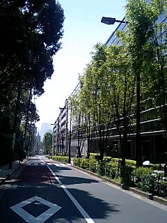 e0045856_1924944.jpg