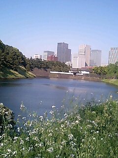 e0045856_1924954.jpg