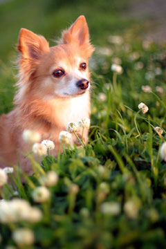 f0097456_2393178.jpg