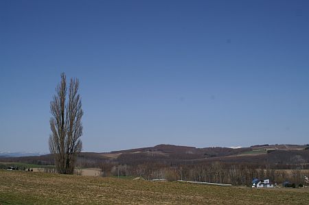 a0004359_22555599.jpg