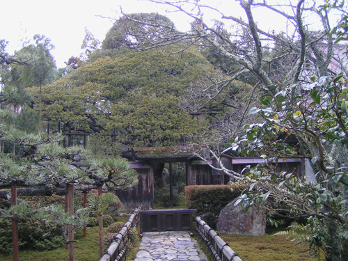e0113562_394244.jpg